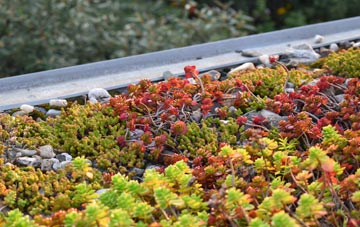 the cost of Pont Cysyllte green roof installation