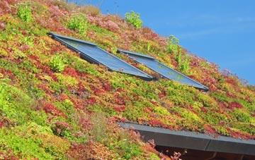 Pont Cysyllte living roof systems